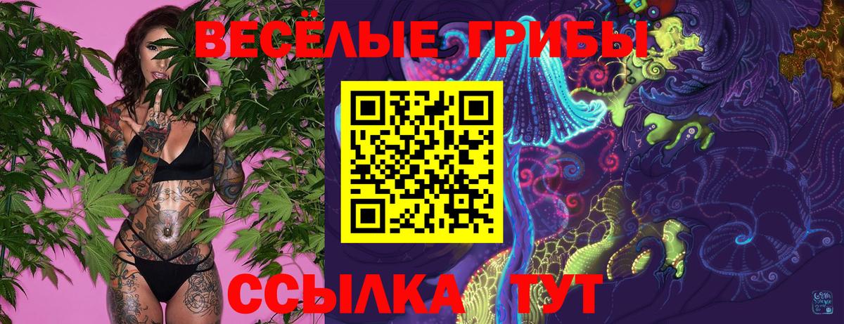 Псилоцибиновые грибы Psilocybine cubensis  Вход с VPN  Кушва  Псилоцибиновые грибы Magic Shrooms 