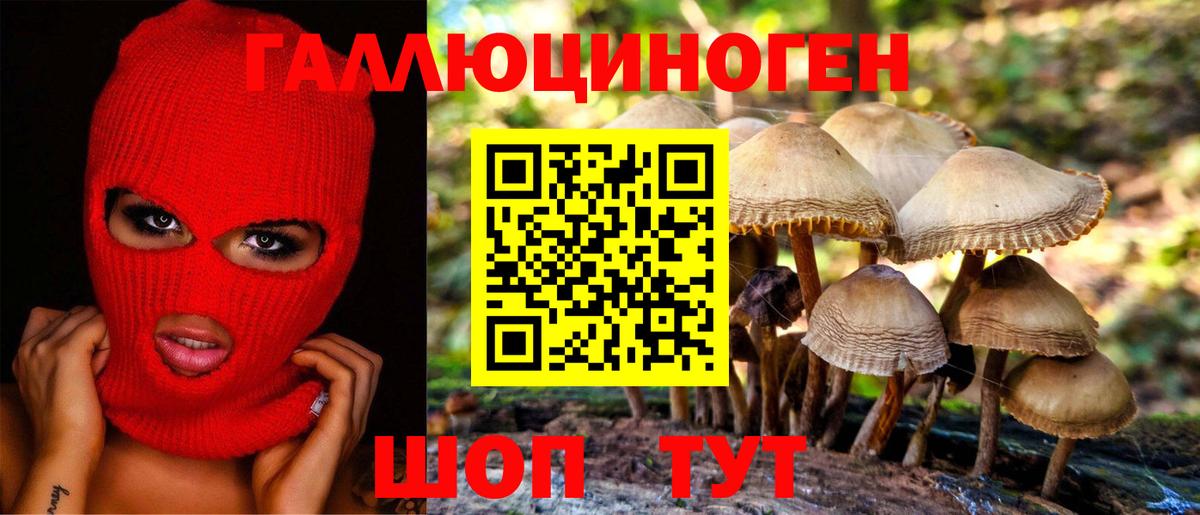 Псилоцибиновые грибы мицелий Кушва
